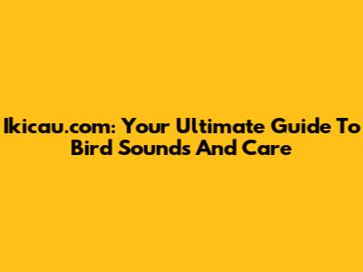 Ikicau.com: Your Ultimate Guide To Bird Sounds And Care