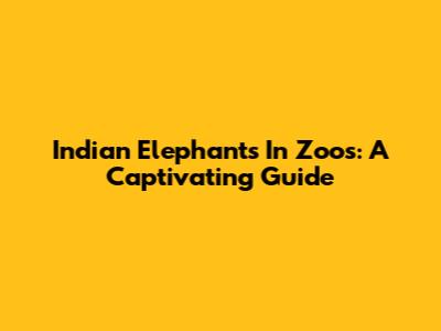 Indian Elephants In Zoos: A Captivating Guide