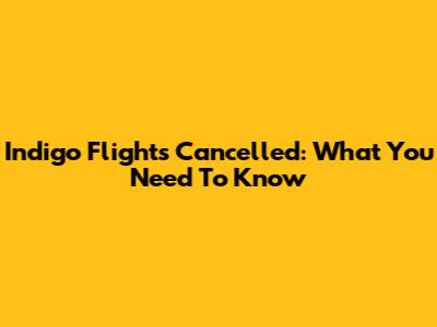 Indigo Flights Cancelled: What You Need To Know