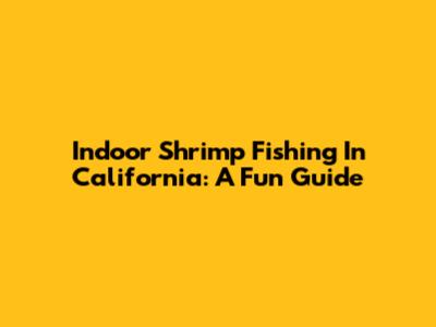 Indoor Shrimp Fishing In California: A Fun Guide
