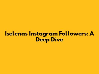 Iselena's Instagram Followers: A Deep Dive