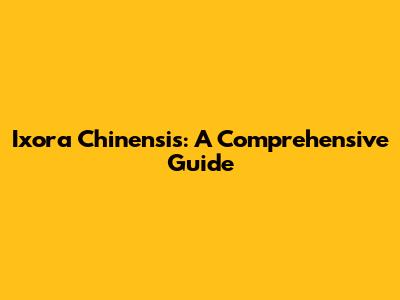 Ixora Chinensis: A Comprehensive Guide