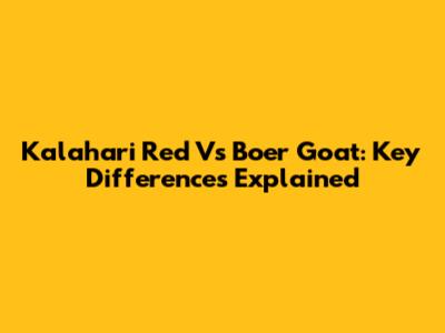 Kalahari Red Vs Boer Goat: Key Differences Explained
