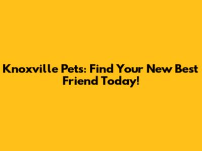 Knoxville Pets: Find Your New Best Friend Today!