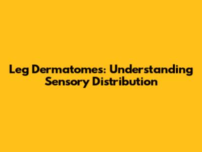 Leg Dermatomes: Understanding Sensory Distribution