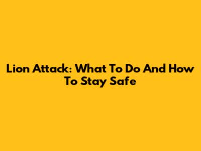 Lion Attack: What To Do And How To Stay Safe