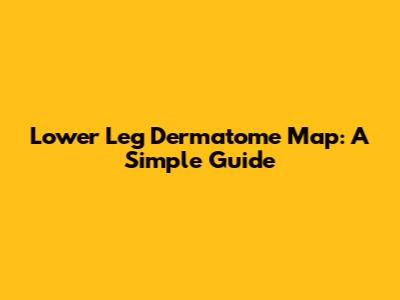 Lower Leg Dermatome Map: A Simple Guide