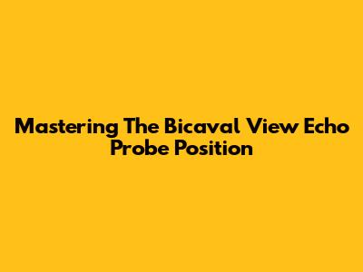 Mastering The Bicaval View Echo Probe Position