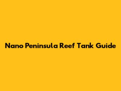 Nano Peninsula Reef Tank Guide