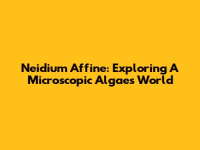 Neidium Affine: Exploring A Microscopic Algae's World