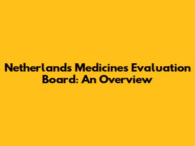 Netherlands Medicines Evaluation Board: An Overview