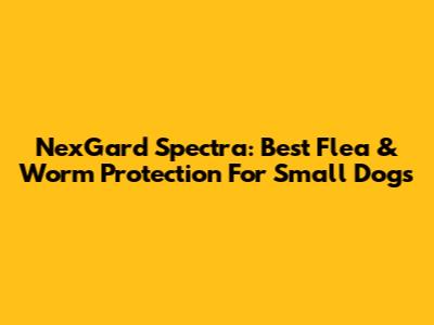 NexGard Spectra: Best Flea & Worm Protection For Small Dogs