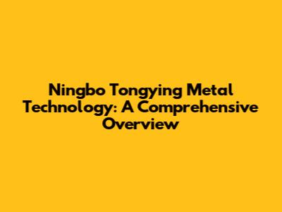 Ningbo Tongying Metal Technology: A Comprehensive Overview