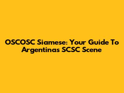 OSCOSC Siamese: Your Guide To Argentina's SCSC Scene
