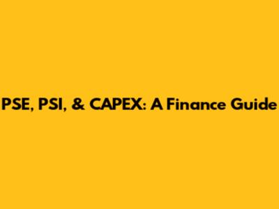 PSE, PSI, & CAPEX: A Finance Guide