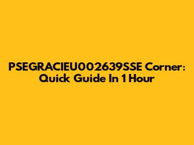 PSEGRACIEU002639SSE Corner: Quick Guide In 1 Hour