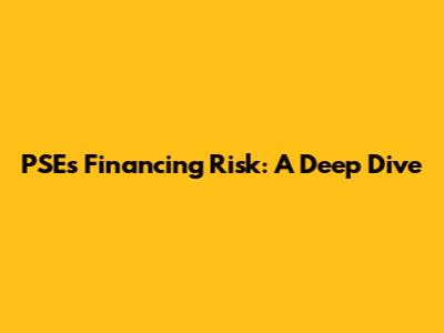 PSEs' Financing Risk: A Deep Dive
