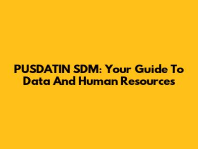 PUSDATIN SDM: Your Guide To Data And Human Resources