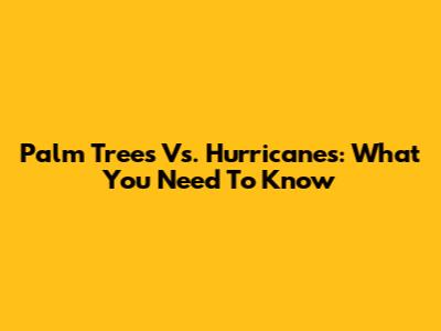 Palm Trees Vs. Hurricanes: What You Need To Know