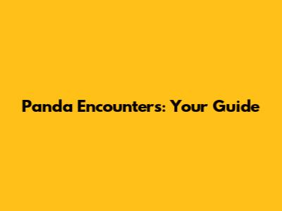 Panda Encounters: Your Guide