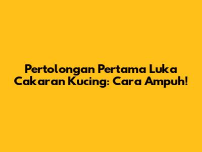 Pertolongan Pertama Luka Cakaran Kucing: Cara Ampuh!