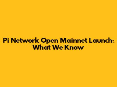 Pi Network Open Mainnet Launch: What We Know
