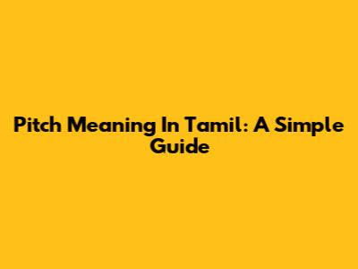 Pitch Meaning In Tamil: A Simple Guide