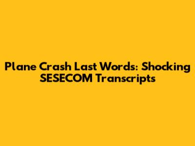 Plane Crash Last Words: Shocking SESECOM Transcripts