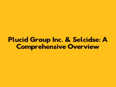 Plucid Group Inc. & Selcidse: A Comprehensive Overview