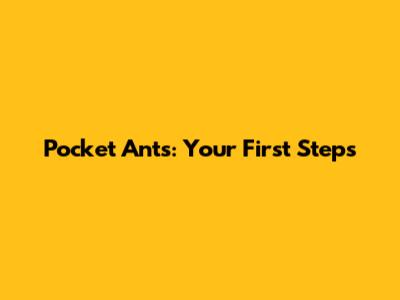 Pocket Ants: Your First Steps