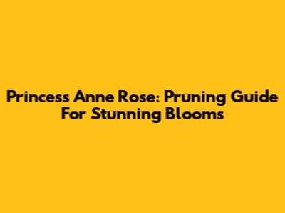 Princess Anne Rose: Pruning Guide For Stunning Blooms