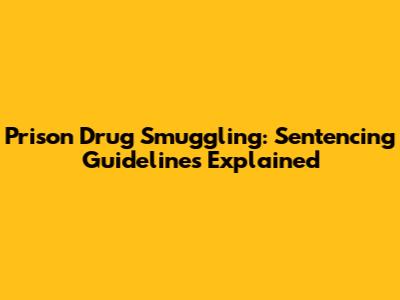 Prison Drug Smuggling: Sentencing Guidelines Explained