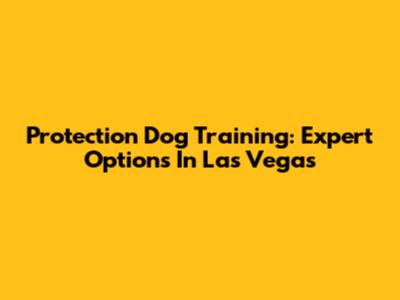 Protection Dog Training: Expert Options In Las Vegas