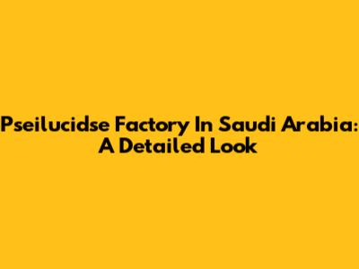 Pseilucidse Factory In Saudi Arabia: A Detailed Look