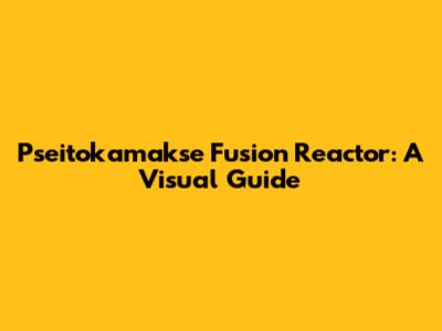 Pseitokamakse Fusion Reactor: A Visual Guide