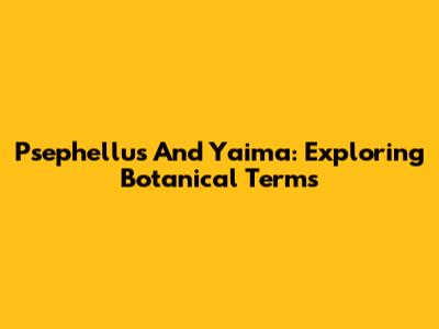 Psephellus And Yaima: Exploring Botanical Terms