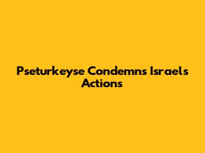 Pseturkeyse Condemns Israel's Actions