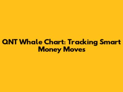 QNT Whale Chart: Tracking Smart Money Moves