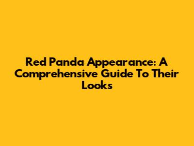 Red Panda Appearance: A Comprehensive Guide To Their Looks