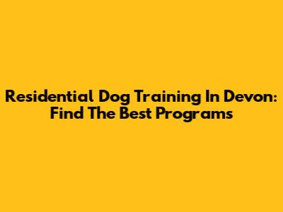 Residential Dog Training In Devon: Find The Best Programs