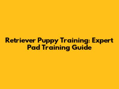 Retriever Puppy Training: Expert Pad Training Guide