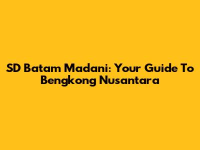 SD Batam Madani: Your Guide To Bengkong Nusantara