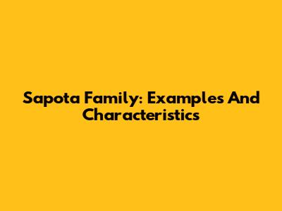 Sapota Family: Examples And Characteristics