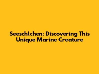 Seeschlchen: Discovering This Unique Marine Creature
