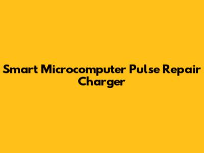 Smart Microcomputer Pulse Repair Charger