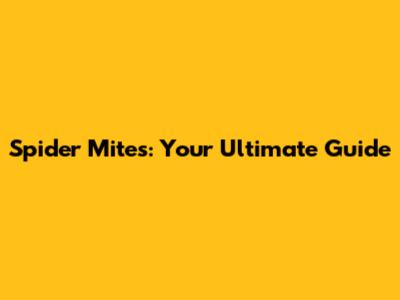 Spider Mites: Your Ultimate Guide