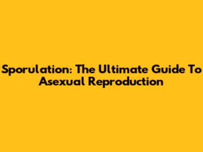 Sporulation: The Ultimate Guide To Asexual Reproduction