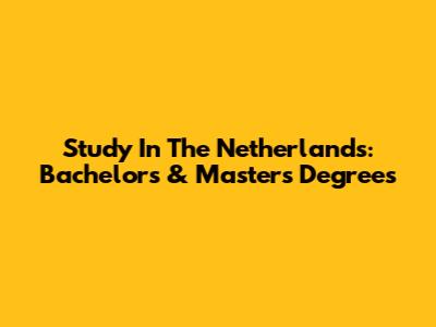 Study In The Netherlands: Bachelor's & Master's Degrees