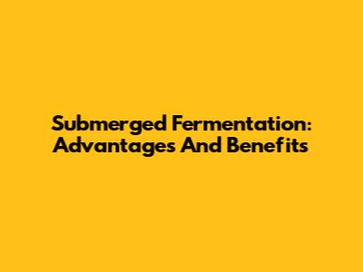 Submerged Fermentation: Advantages And Benefits