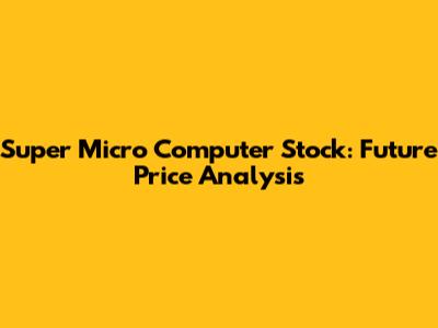 Super Micro Computer Stock: Future Price Analysis